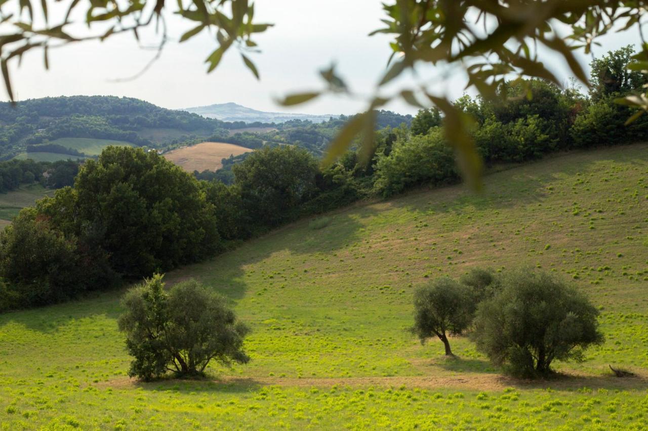 San Rocco Country House Пезаро Экстерьер фото